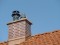 Vorschau: Windkat im Einsatz 3