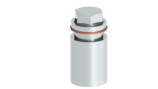 1/2'' Muffe mit Verschlussschraube ab 200 °C - Tecnovis DW-Systeme